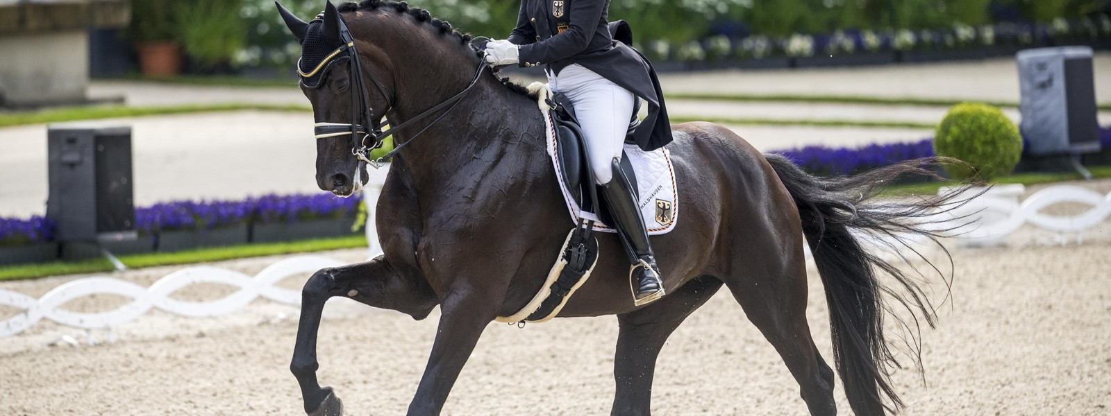 dressur_header_1600x600_max1mb